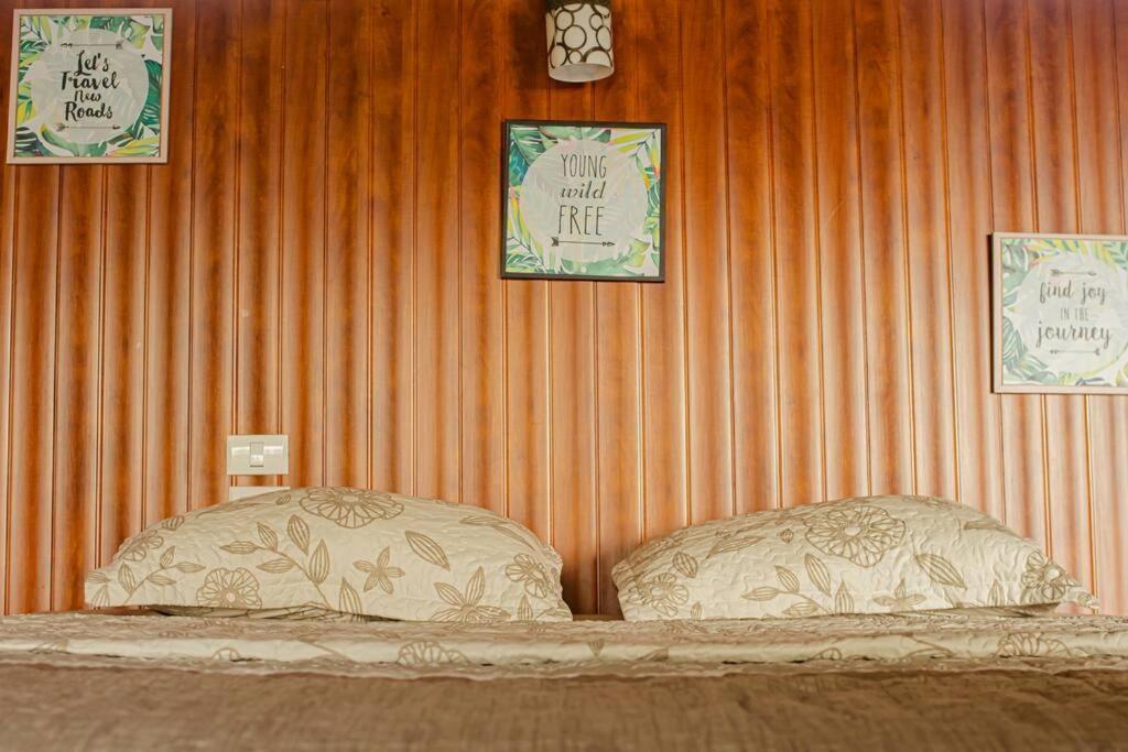 Corcovado Green Cabin & House Drakes Bay Eksteriør billede